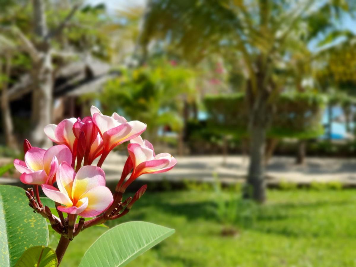 The Zanzibari Hotel Nungwi Ngoại thất bức ảnh