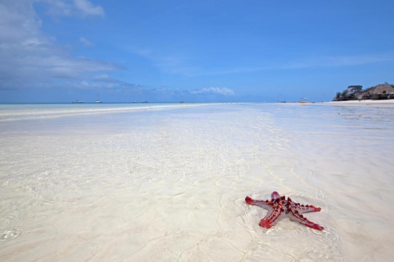 The Zanzibari Hotel Nungwi Ngoại thất bức ảnh